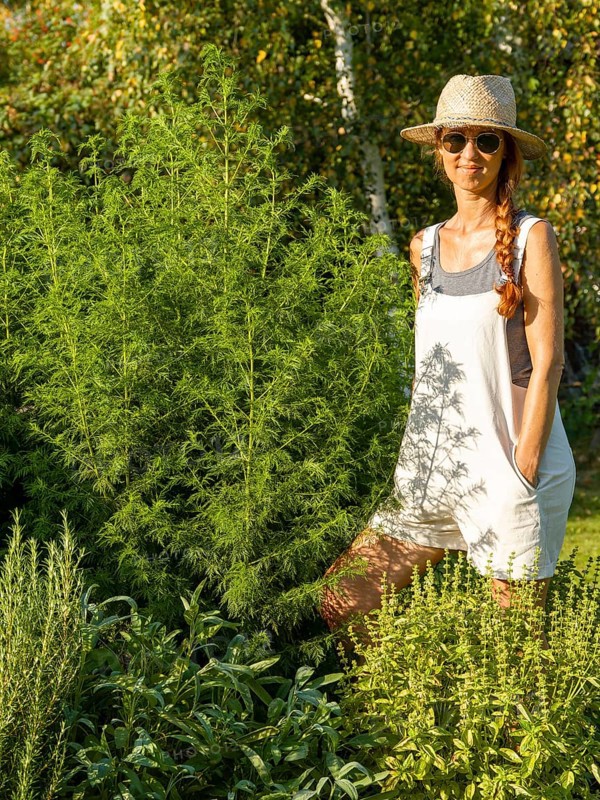 Woman in herb bed