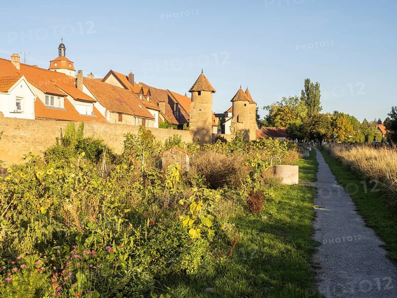 Part of the old town wall and towers