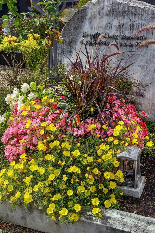 Gravestone with begonias