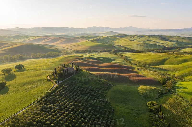 Podere Belvedere Estate and Fields