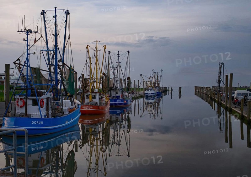 Evening atmosphere in the cutter harbour of Dorum-Neufeld