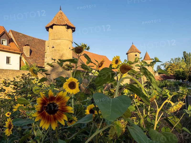 Part of the old town wall and towers