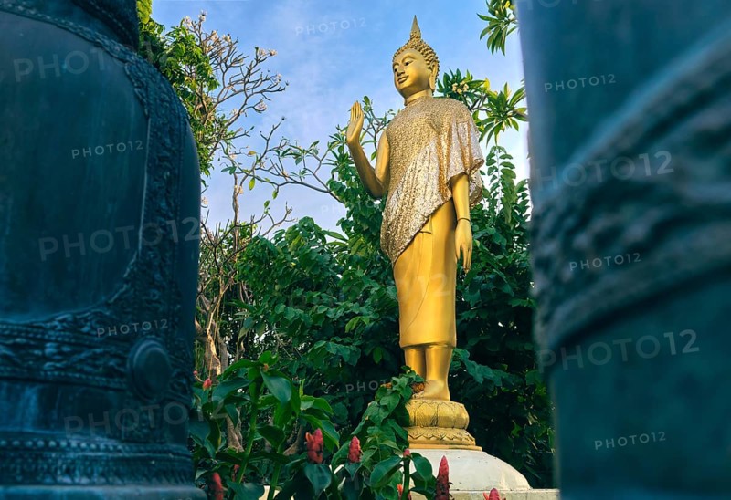 Gilded statue of standing Buddha in monk clothes and covered by golden textile shot between two bells and among trees and flowers. Right hand in adhaya mudra gesture. Selective focus