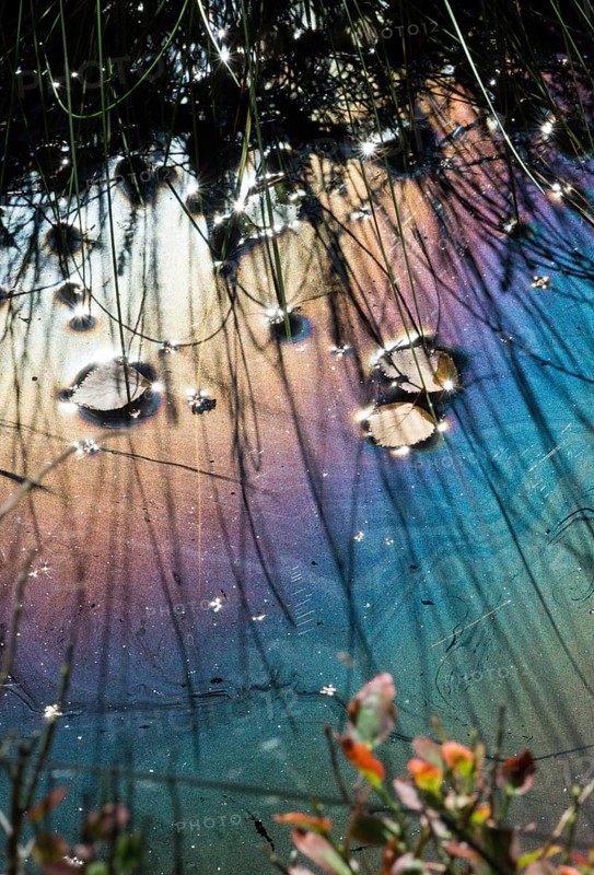 Dark moor water