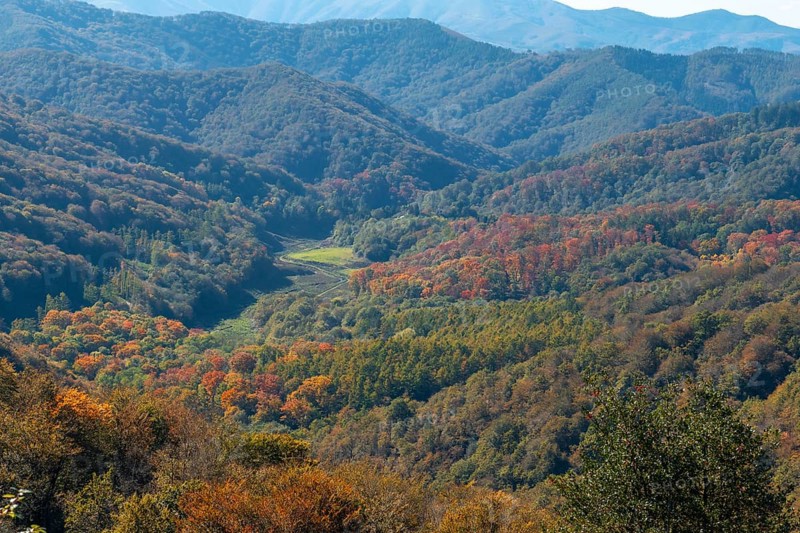 Gorgeous fall colors in the Artikutza natural park between Oiartzun and Lesaka. Basque Country