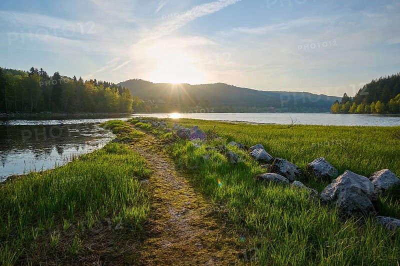 Path