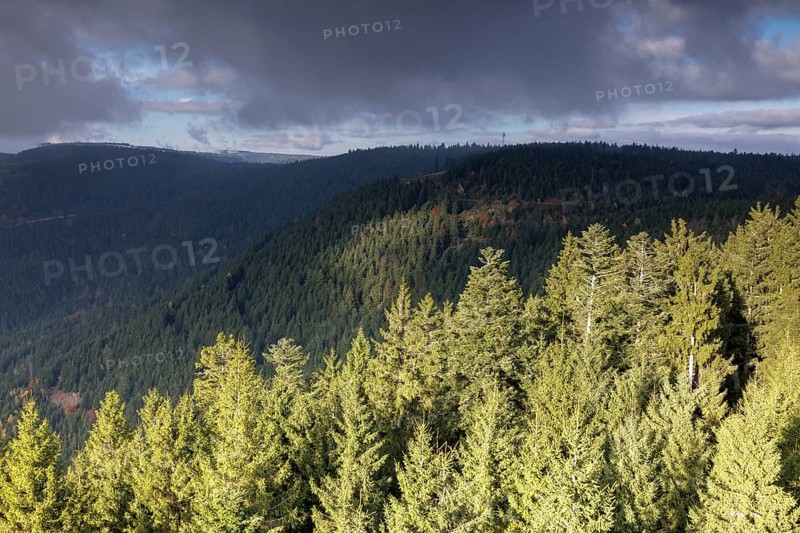 Autumn view from the Buchkopf
