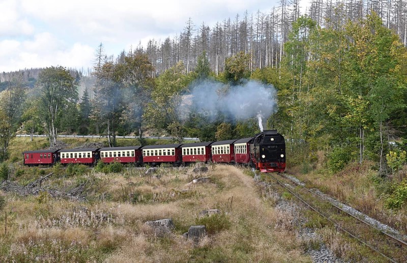 Harz narrow-gauge railway