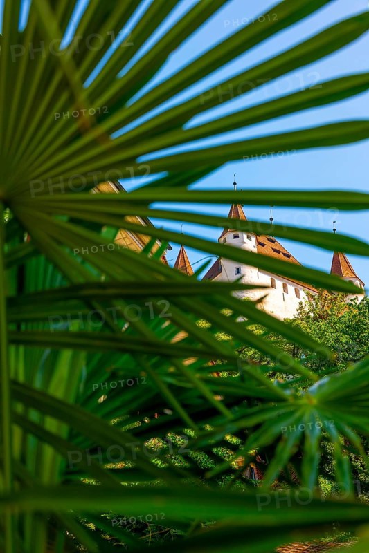 City of Thun with Castle Behind Palm Leaf in a Sunny Day in Thun