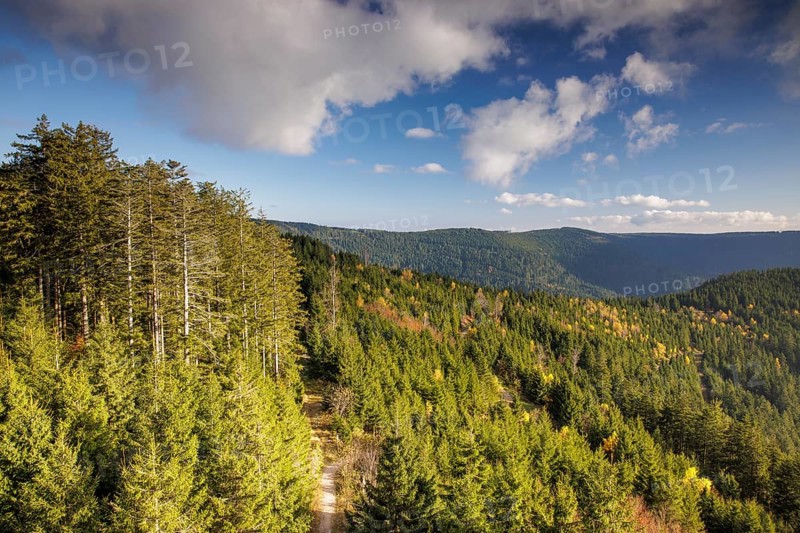 Autumn view from the Buchkopf