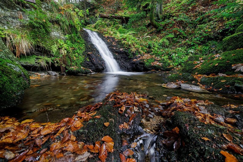 Mountain stream and waterfall in autumn forest
