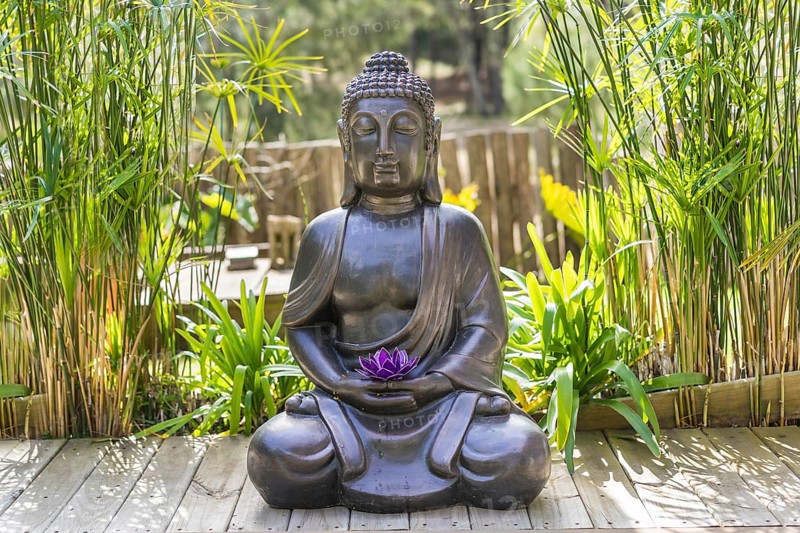 Meditating Buddha Statue with a purple lotus on his hands on a backyard