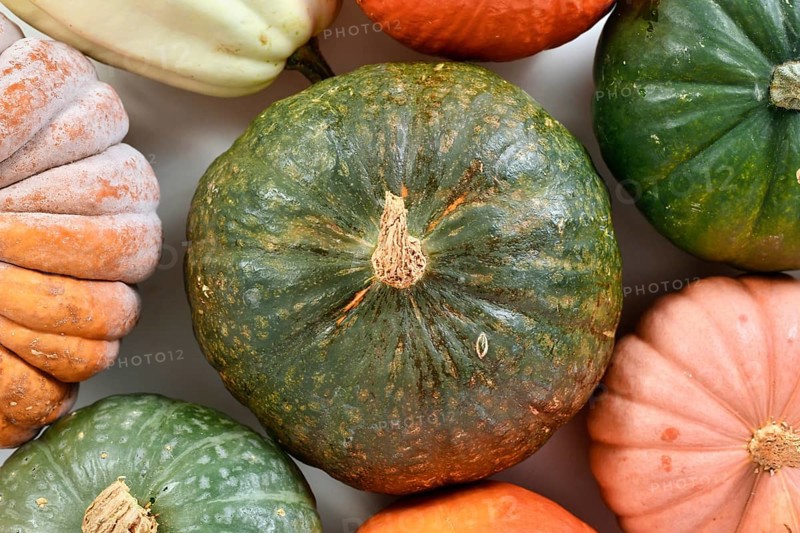 Top view of green Kuri Hokkaido squash between pumpkin and squash mix