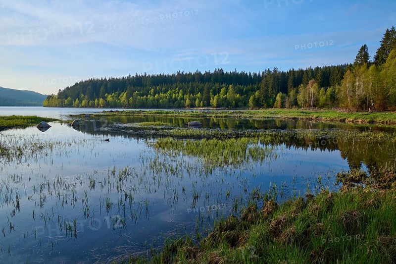 Lake