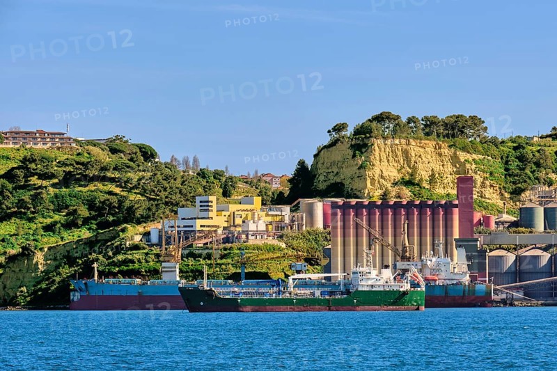 Grain and oilseeds terminal and dry bulk cargo ships moored by pier on sunny day. Elevator storage complex for crops and oils as part of a transfer silo. Transportation of agricultural products and foodstuff
