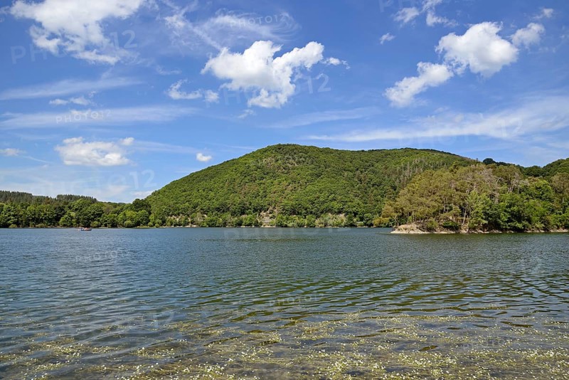 View over the Diemelsee with water crowfoot