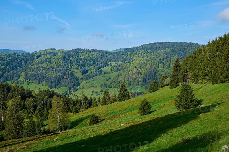 Low mountain landscape