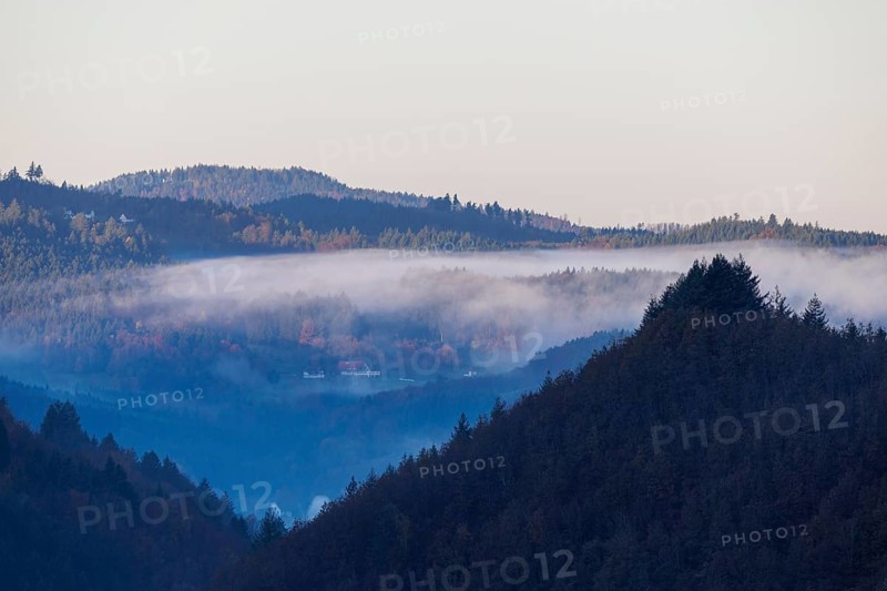 Early November fog near Oppenau
