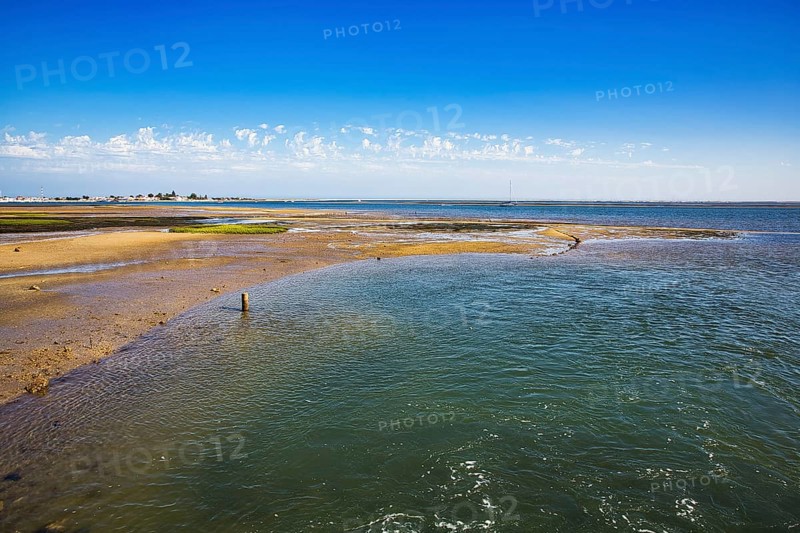 Ria Formosa nature park Park