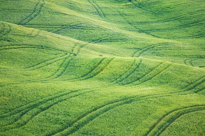 Hilly green fields near San Quirico d'Orcia