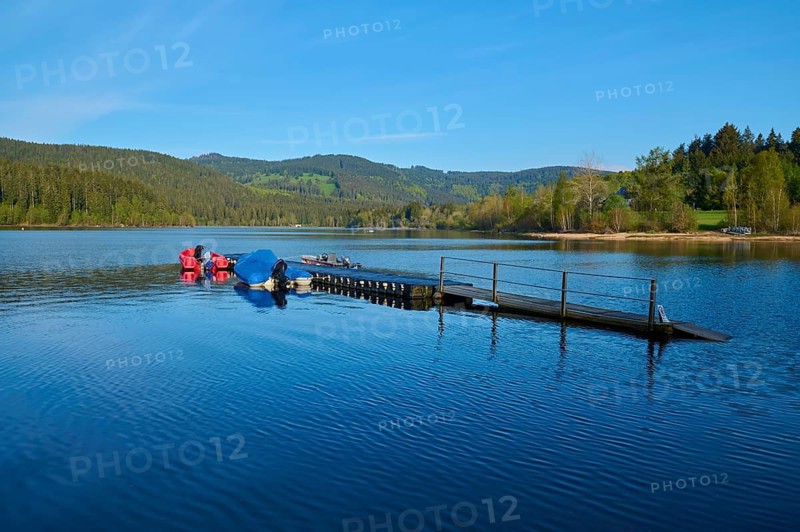 Jetty