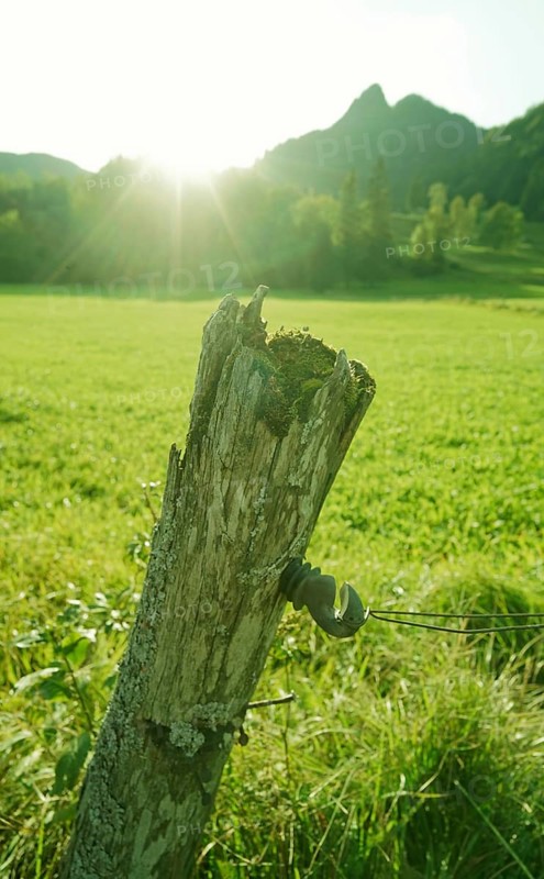 Meadow landscape at the foot of the Brauneck