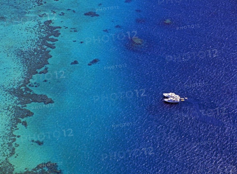 Aerial View of Michaelmas Reef offshore from Cairns Queensland Australia