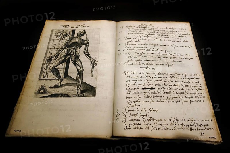 16th century Spanish translation of Vivae imagines partium corporis humani by Joannes Valverde