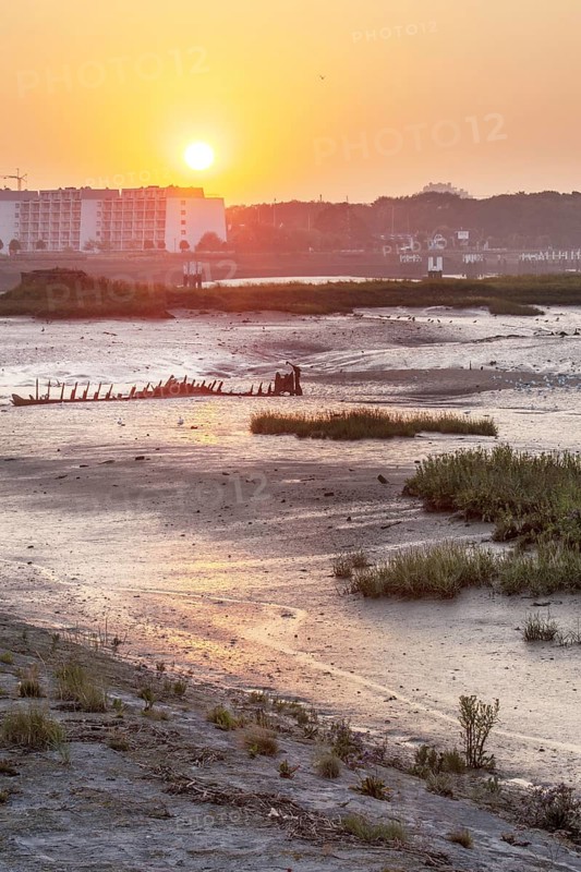 Salt marsh and mudflats at the nature reserve De IJzermonding at Nieuwpoort