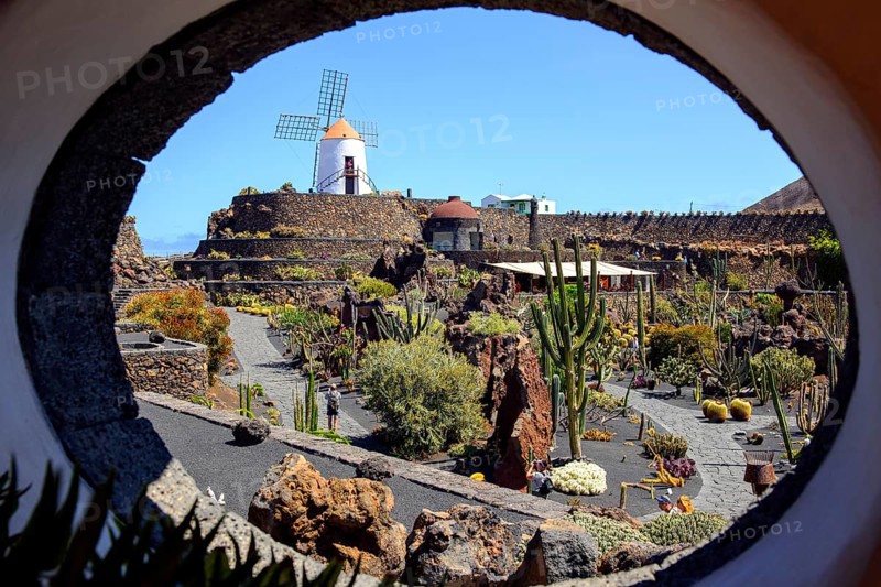 View through round wall opening on paths of cactus garden Jardin de Cactus designed by Cesar Manrique in former quarry in the background old windmill of Guatiza