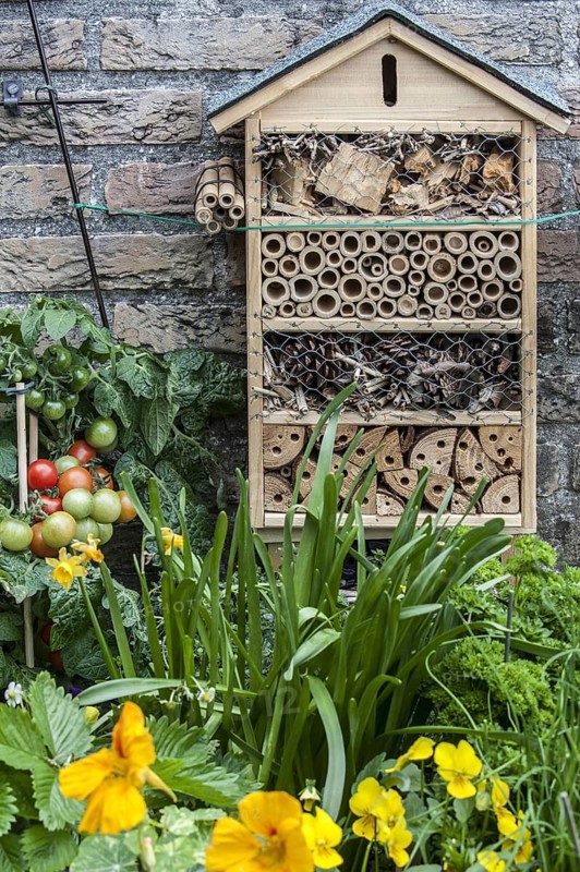 Insect hotel for solitary bees and other insects near flower and vegetable garden