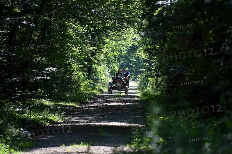 Excursion in the forest with a vintage tractor Eicher Diesel