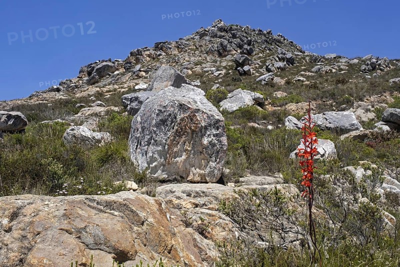 Top of Swartberg Pass on the R328 running over the Swartberg mountain range between Great Karoo and Little Karoo