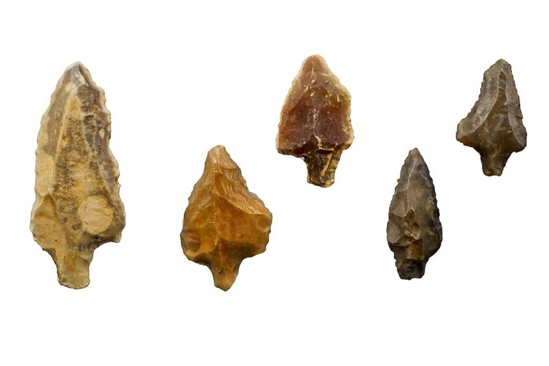 Collection of Paleolithic tanged points made of flint from the Pleistocene