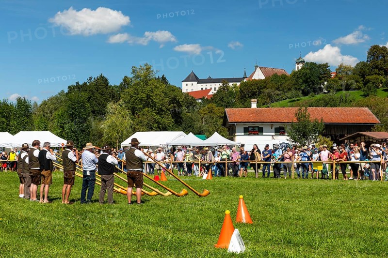 Alphorn blowers
