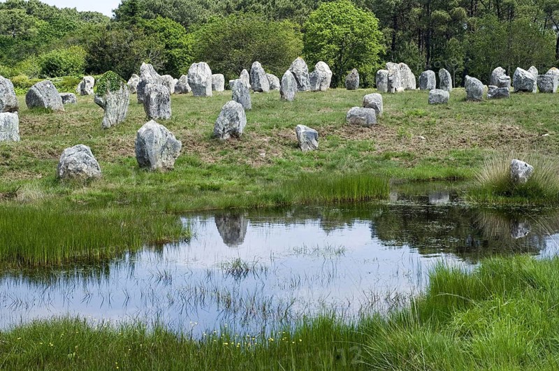 Standing stones in the Menec alignment at Carnac