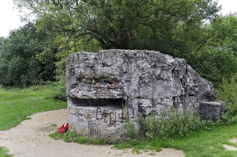 Ruin of First World War German pillbox on Hill 60 at Zillebeke