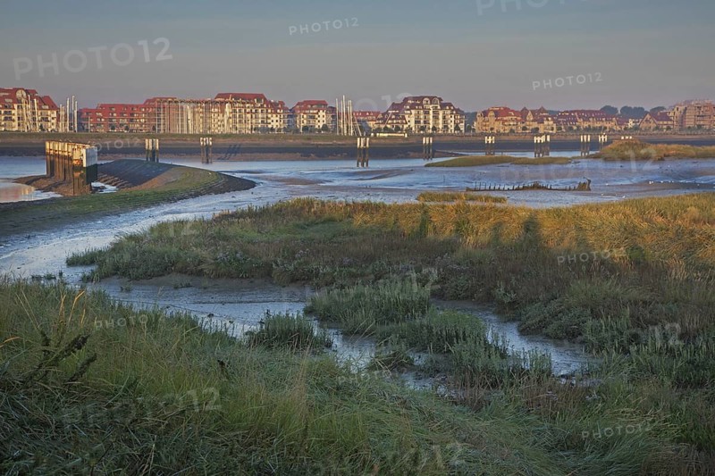 Salt marsh and mudflats at the nature reserve De IJzermonding at Nieuwpoort