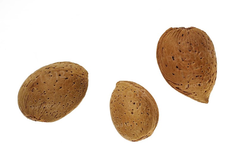 Close up of three unshelled almond nuts