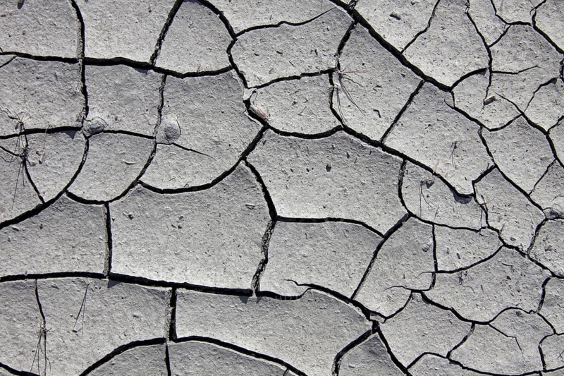 Dry cracked mud in dried out pond