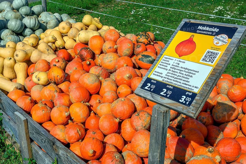 Outdoor pumpkin sale