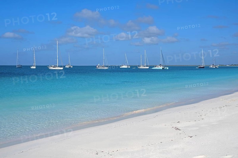 Sailing boats