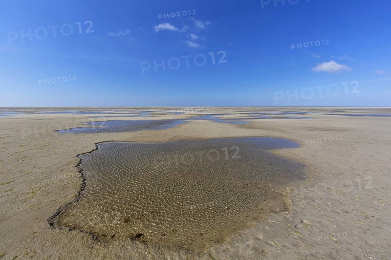 Shallow tidal pools on mudflat