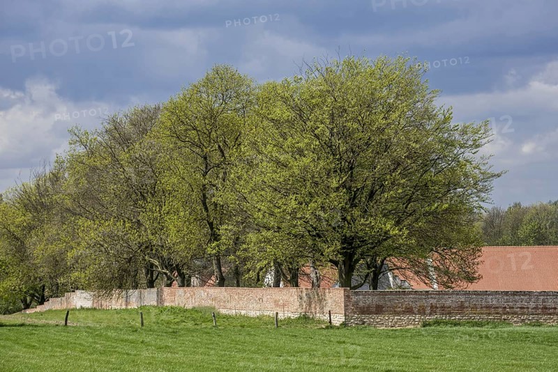 Southern garden wall of the Chateau d'Hougoumont