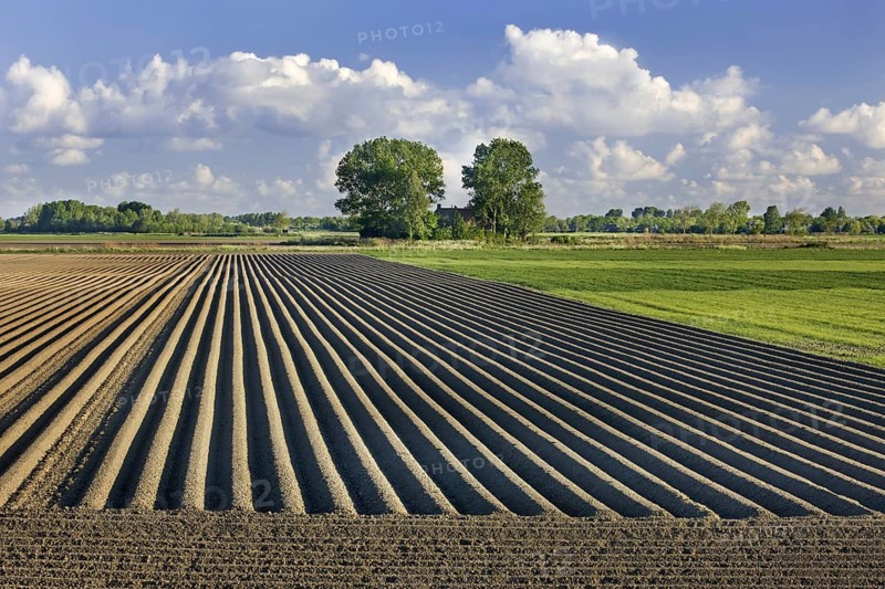 Furrows on a ploughed