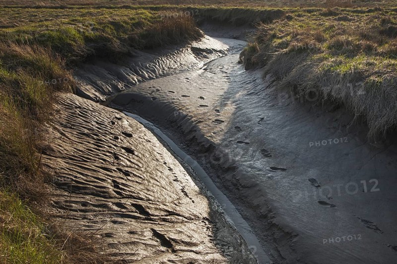 Mudflat in the Verdronken Land van Saeftinghe