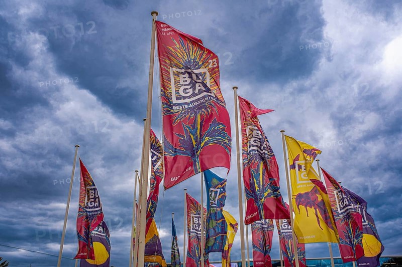 Buga flags at the Federal Horticultural Show