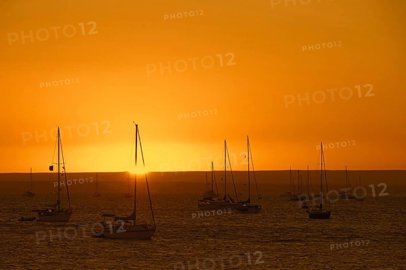 Sailing boats