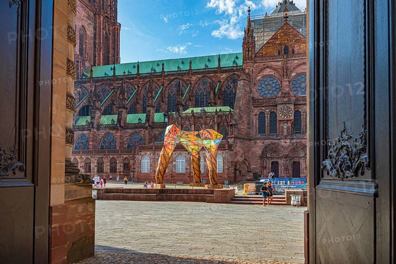 Cathedrale Notre-Dame de Strasbourg of Strasbourg in France