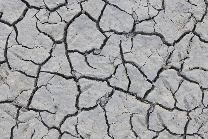 Dry cracked mud in dried out pond